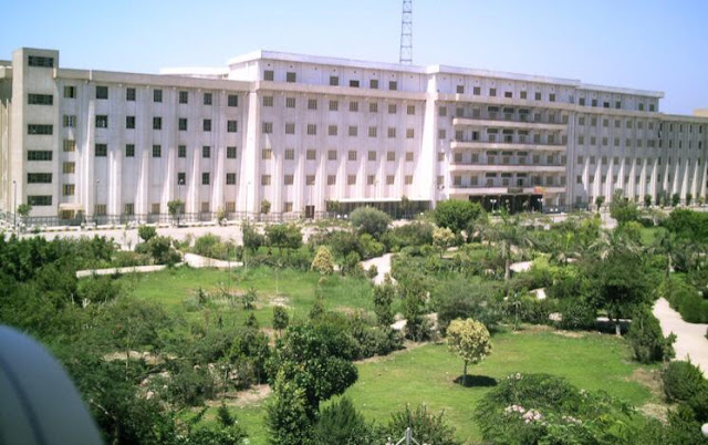  كلية الألسن جامعة بني سويف