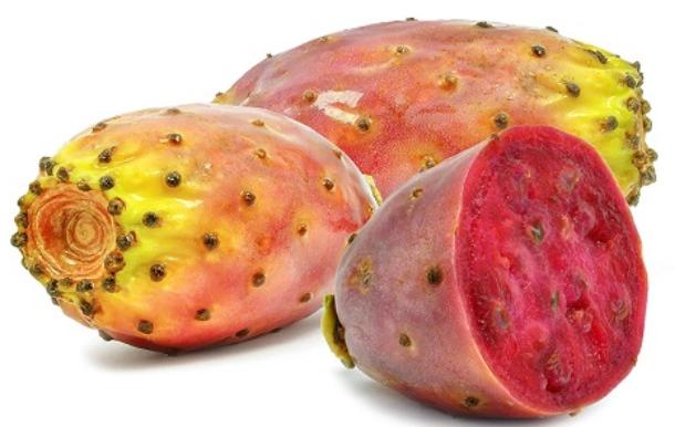 أهم فوائد التين الشوكي 