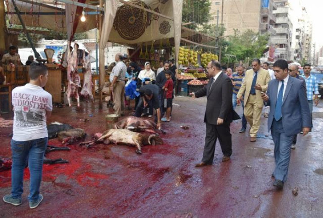 غرامة الذبح في الشارع