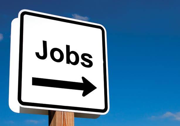 أغرب 5 وظائف حول العالم أغرب 5 وظائف حول العالم