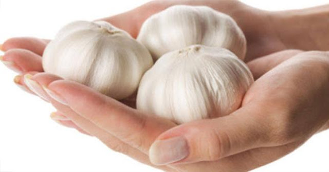 تعرف على الفوائد الصحية للثوم وأهمية تناوله يوميًا 