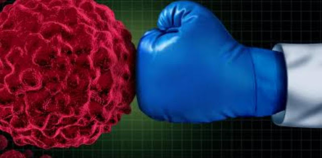 تعرف على أهمية الجهاز المناعي وكيفية تقويته