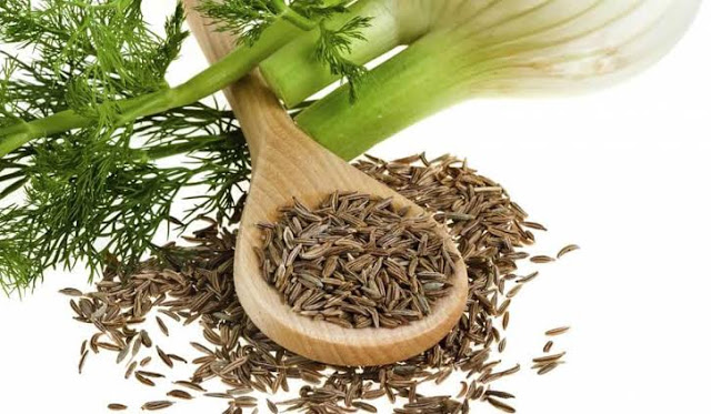 أهم فوائد الشمر أهم فوائد الشمر