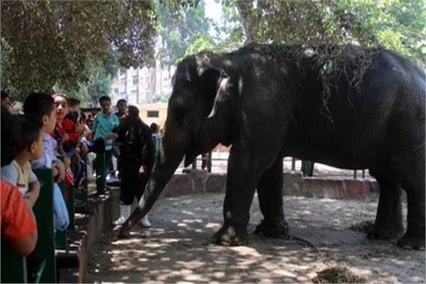 حديقة الحيوانات