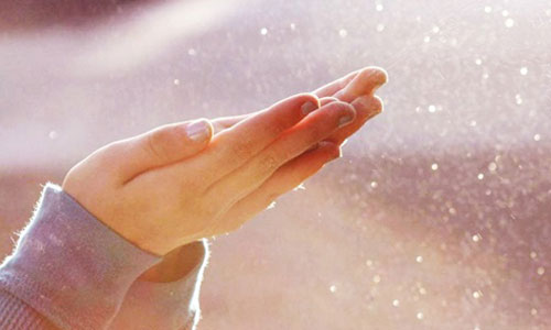 جميع أدعية المصحف الشريف