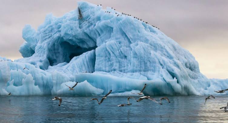 المحيط الجنوبي