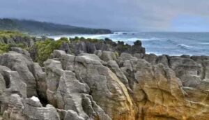 بوناكاكي نيوزيلندا