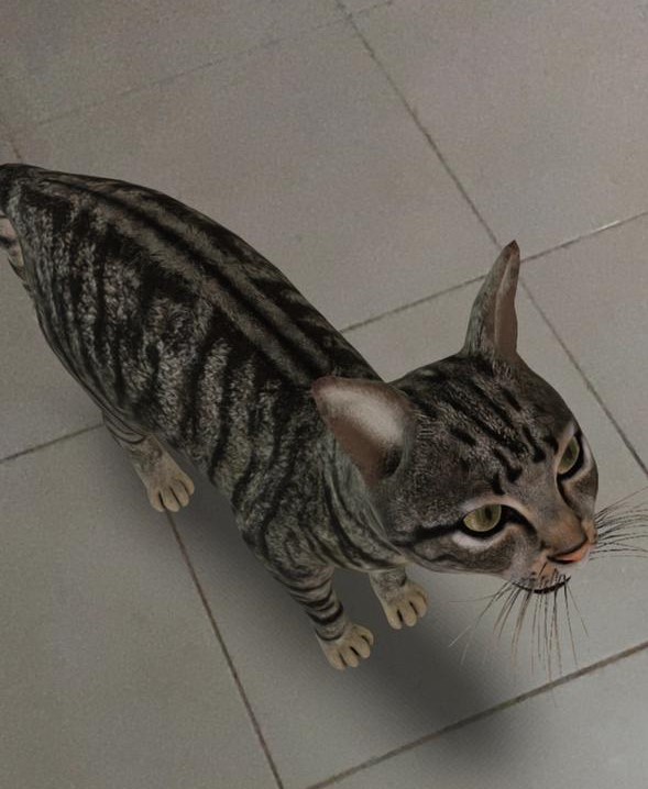 تجربة التقاط صورة حيوان ثلاثية الأبعاد